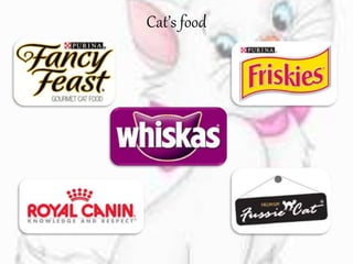Cat’s food
 