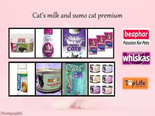 Cat’s milk and sumo cat premium
 