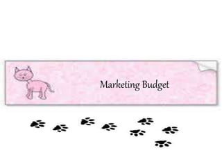 Marketing Budget
 