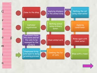 G
r
o
o
m
i
n
g
Come to the shop
Customer
registration
Customers leave
the store and let
the cats to be
managed by the
workers
Employees bring
cats back to doing
grooming process
Combing the fur
of cats.
Clean animal ears.
Bathing animal
using ordinary
water.
Applying shampoo
in the animal body.
Bathing the cat
using clean water.
Applying
conditioner.
Rinse again with
clean water.
Wipe with a towel.
 