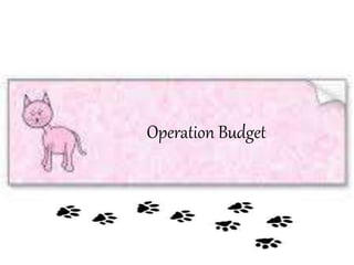 Operation Budget
 
