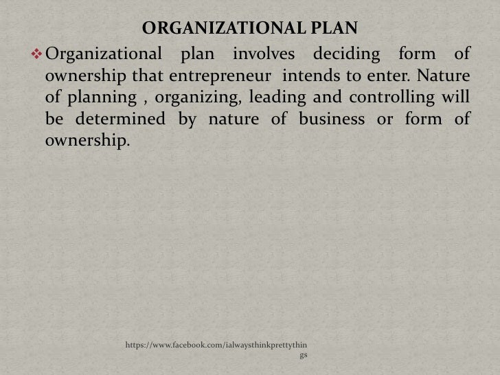 Form of ownership business plan