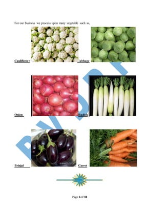 Page 6 of 33
For our business we process upon many vegetable such as,
Cauliflower Cabbage
Onion Radish
Brinjal Carrot
 