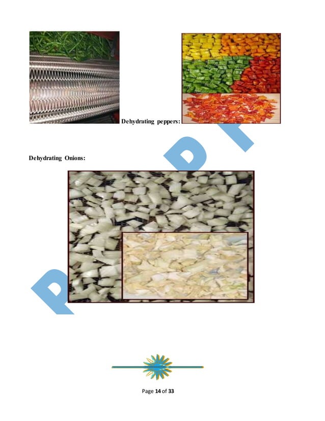 Business plan,of dehydration vegetable.m Rahil