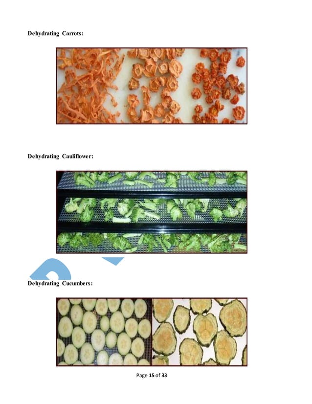 Business plan,of dehydration vegetable.m Rahil