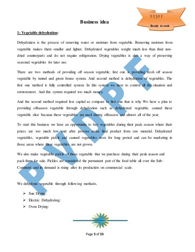 Appendix business plan image