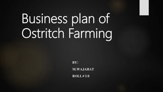 Business plan of
Ostritch Farming
BY:
M.WAJAHAT
ROLL#18
 