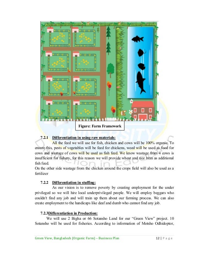 Financial plan for organic food industry picture