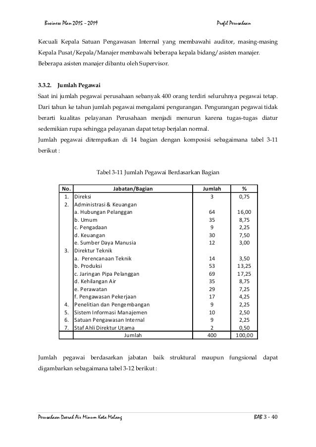 Business plan pdam 08 picture