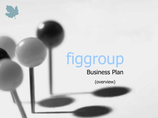 figgroup Business Plan (overview) 