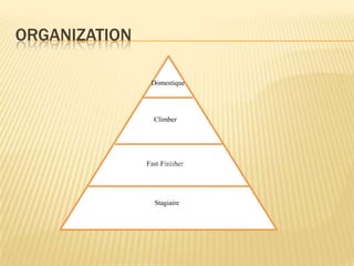 ORGANIZATION

                Domestique




                 Climber




               Fast-Finisher




                 Stagiaire
 