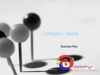 Company Name
Business Plan
https://www.bridgekloud.com/
 