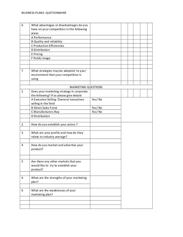 Business Plan Questionnaire