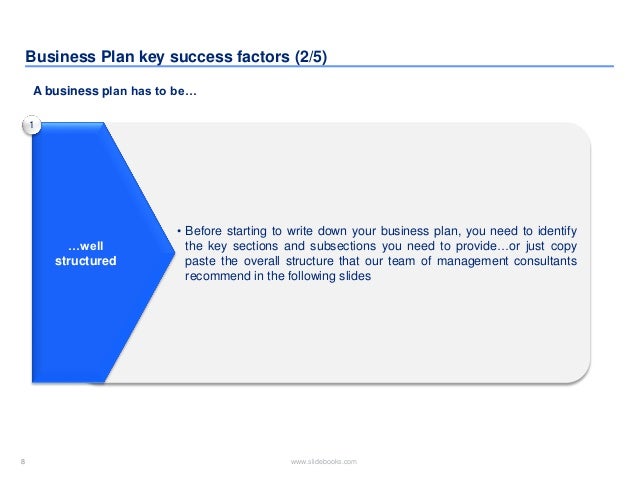 Deloitte business plan writing