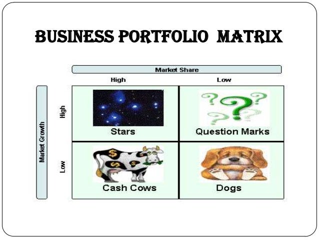 business portfolio matrix