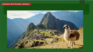 Impulsive and Novelty- seeking
 