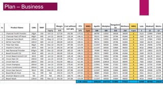 Plan – Business
(MT)
 