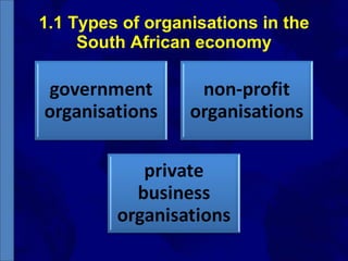 1.1 Types of organisations in the South African economy 
