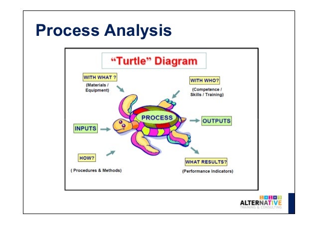 [DIAGRAM] A Turtle Diagram Hr - MYDIAGRAM.ONLINE