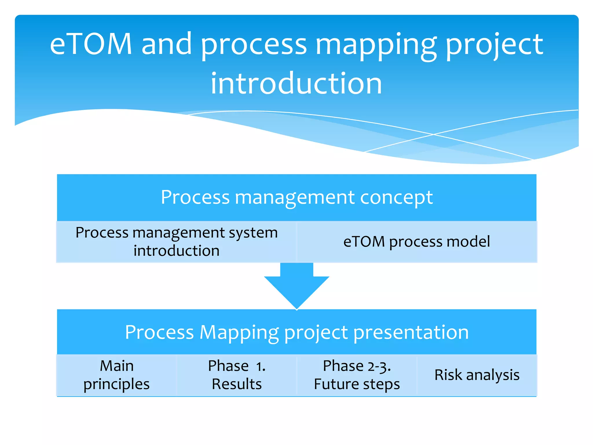 Business Process IdentificationOrganization StructureInterviewsIT ArchitectureReportingProjects DocumentationQA documentationDepartments Procedures