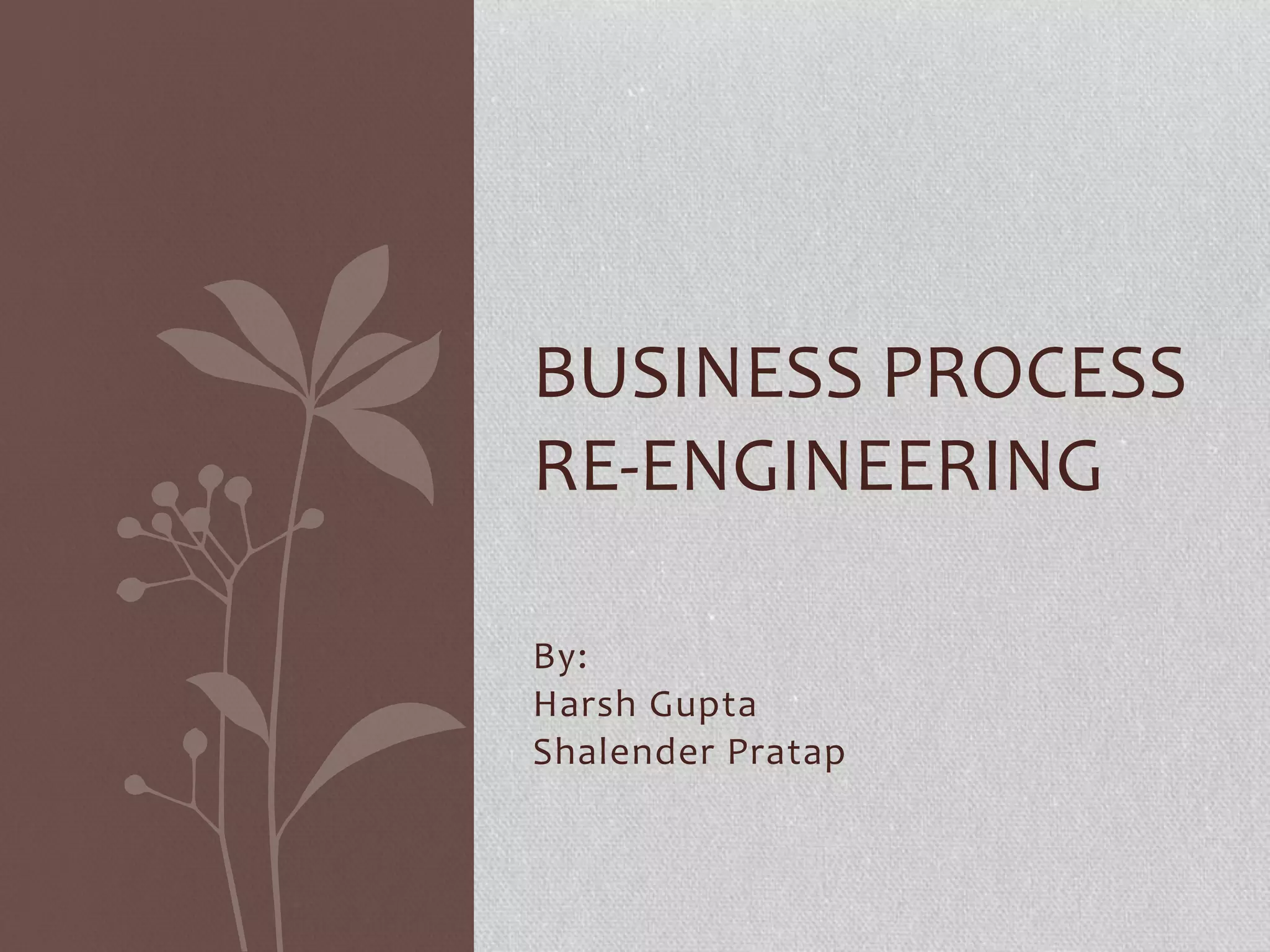 Business process re engineering | PPTX