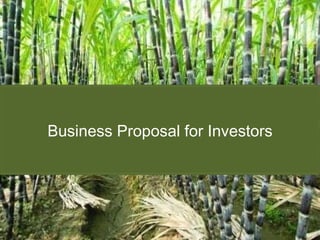 Business Proposal for Investors 