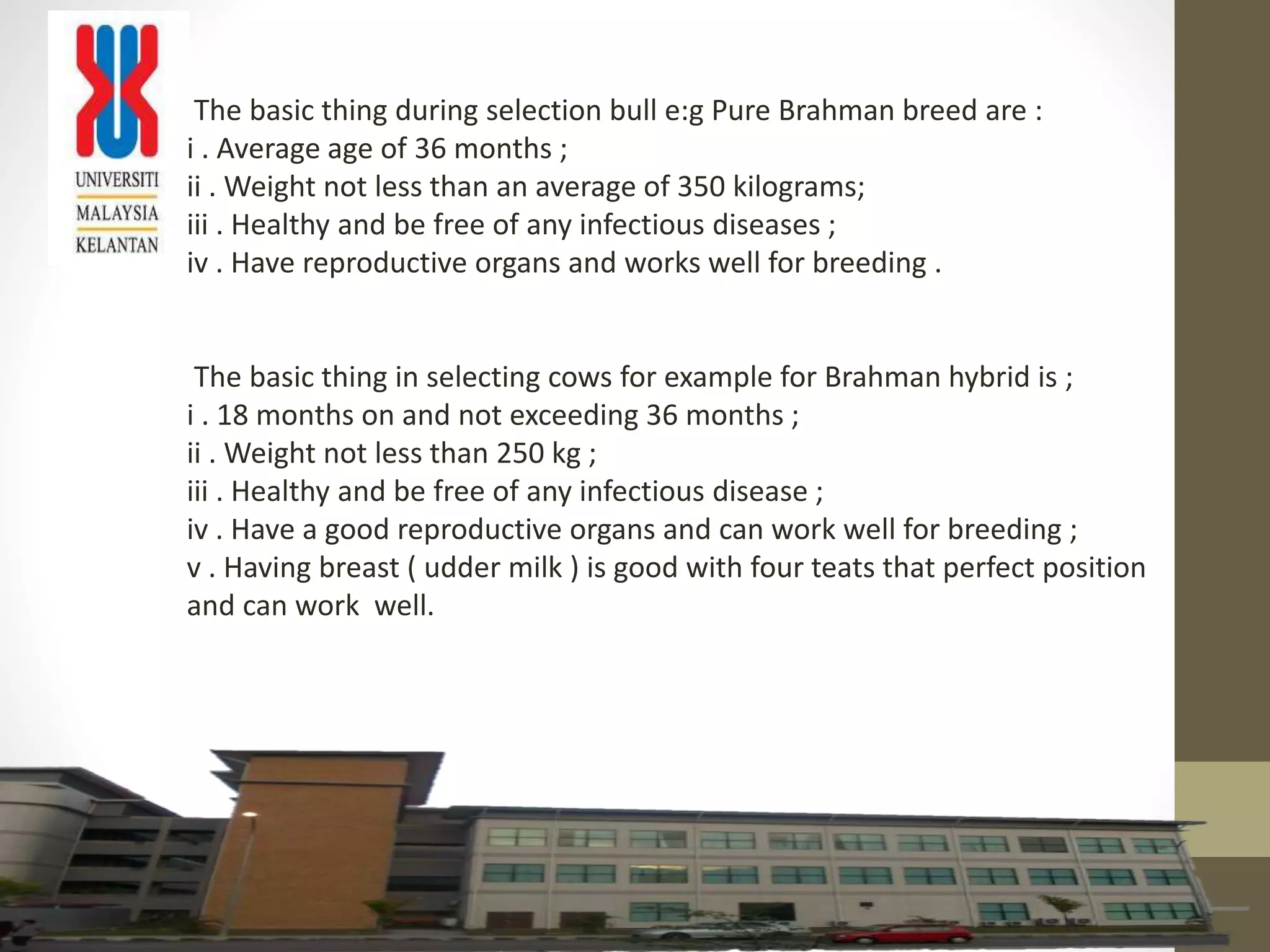 Business proposal-agribusiness | PPTX