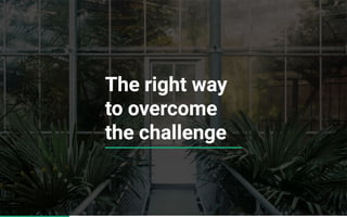 Business Proposal Template (PDF Download)