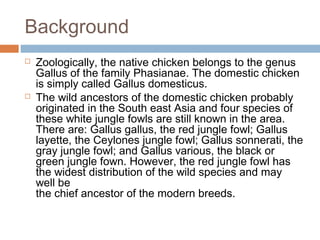 Background
 Zoologically, the native chicken belongs to the genus
Gallus of the family Phasianae. The domestic chicken
is simply called Gallus domesticus.
 The wild ancestors of the domestic chicken probably
originated in the South east Asia and four species of
these white jungle fowls are still known in the area.
There are: Gallus gallus, the red jungle fowl; Gallus
layette, the Ceylones jungle fowl; Gallus sonnerati, the
gray jungle fowl; and Gallus various, the black or
green jungle fown. However, the red jungle fowl has
the widest distribution of the wild species and may
well be
the chief ancestor of the modern breeds.
 