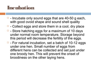 Incubation
 - Incubate only sound eggs that are 40-50 g each,
with good ovoid shape and sound shell quality
 - Collect eggs and store them in a cool, dry place
 - Store hatching eggs for a maximum of 10 days
under normal room temperature. Storage beyond
this period will decrease the fertility of the eggs.
 - For natural incubation, set a batch of 10-12 eggs
under one hen. Small number of eggs from
different hens can be collected and set just under
one broody hen. This will prevent the onset of
broodiness on the other laying hens.
 