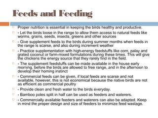 Feeds and Feeding
 Proper nutrition is essential in keeping the birds healthy and productive.
 - Let the birds loose in the range to allow them access to natural feeds like
worms, grains, seeds, insects, greens and other sources
 - Give supplement feeds to the birds during summer months when feeds in
the range is scarse, and also during increment weather
 - Practice supplementation with high-energy feedstuffs like corn, palay and
grated coconut or farm-mixed formulations during these times. This will give
the chickens the energy source that they rarely find in the field.
 - The supplement feedstuffs can be made available in the house early
morning, before the birds are allowed to free range, and in the afternoon to
develop their homing instinct
 - Commercial feeds can be given, if local feeds are scarse and not
available, however, this is not economical because the native birds are not
as efficient as commercial poultry
 - Provide clean and fresh water to the birds everyday.
 - Bamboo poles split in half can be used as feeders and waterers.
 - Commercially available feeders and waterers can also be adapted. Keep
in mind the proper design and size of feeders to minimize feed wastage.
 