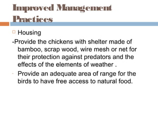 Improved Management
Practices
 Housing
-Provide the chickens with shelter made of
bamboo, scrap wood, wire mesh or net for
their protection against predators and the
effects of the elements of weather .
- Provide an adequate area of range for the
birds to have free access to natural food.
 