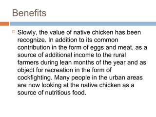 Benefits
 Slowly, the value of native chicken has been
recognize. In addition to its common
contribution in the form of eggs and meat, as a
source of additional income to the rural
farmers during lean months of the year and as
object for recreation in the form of
cockfighting. Many people in the urban areas
are now looking at the native chicken as a
source of nutritious food.
 