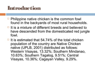 Introduction
 Philippine native chicken is the common fowl
found in the backyards of most rural households.
 It is a mixture of different breeds and believed to
have descended from the domesticated red jungle
fowl.
 It is estimated that 54.74% of the total chicken
population of the country are Native Chicken
native (UPLB, 2001) distributed as follows:
Western Visayas, 13.32%; Southern Mindanao,
10.63%; Southern Tagalog, 9.51%; Central
Visayas, 10.36%; Cagayan Valley, 9.29%.
 