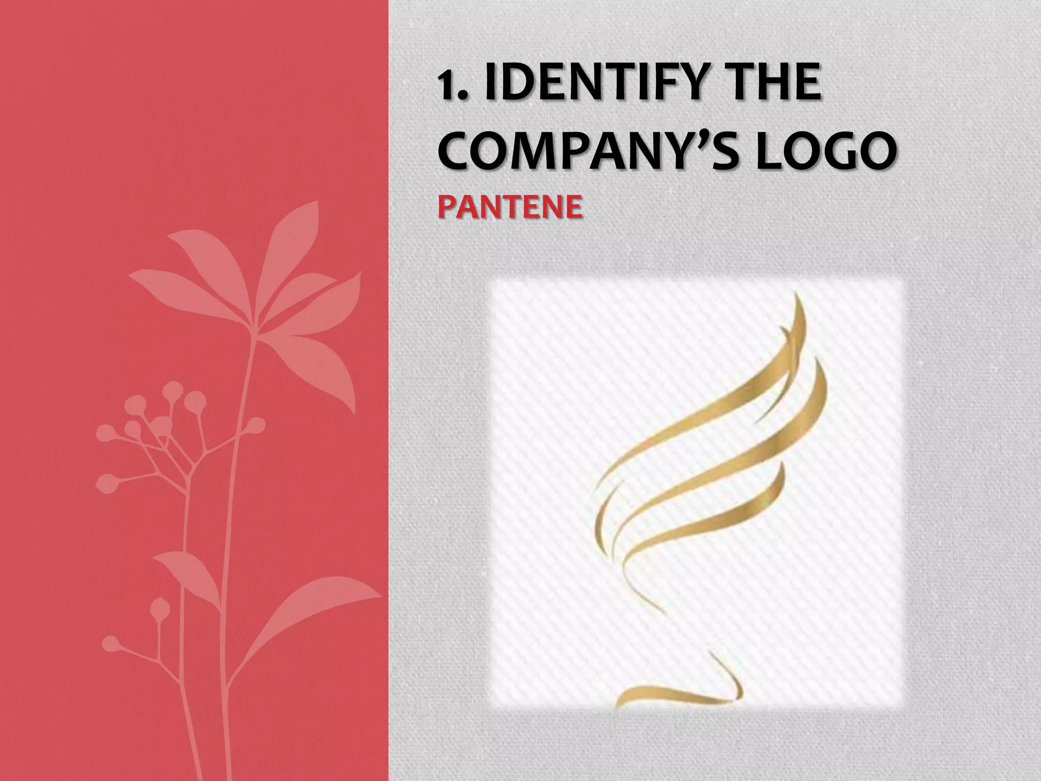 1. IDENTIFY THE
COMPANY’S LOGO
PANTENE
 
