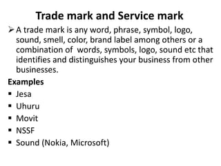 Jesa Examples Business Registration NOTES.pptx