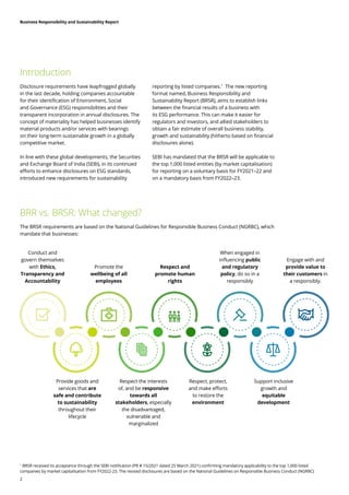 Business Responsibility and Sustainability .pdf