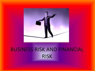 BUSINESS RISK AND FINANCIAL 
RISK 
 