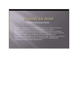 Business risk slide2.bba