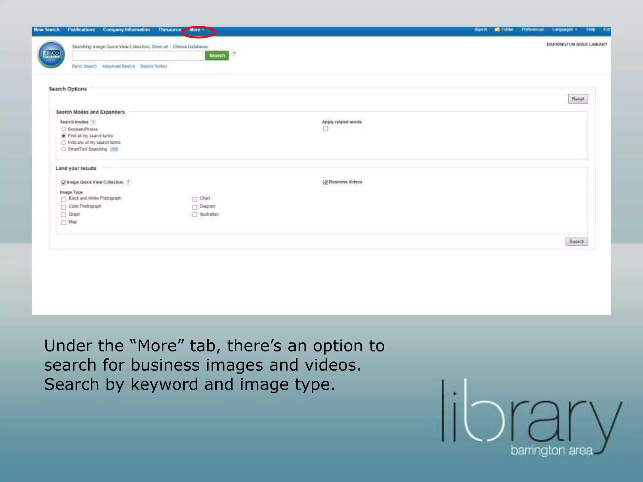 Under the “More” tab, there’s an option to
search for business images and videos.
Search by keyword and image type.
 