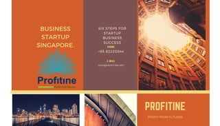 PROFITINE
PROFIT FROM FUTURES
SIX STEPS FOR
STARTUP
BUSINESS
SUCCESS
+65 82220944
PHONE
INFO@PROFITINE.NET
E-MAIL
BUSINESS
STARTUP
SINGAPORE.
 