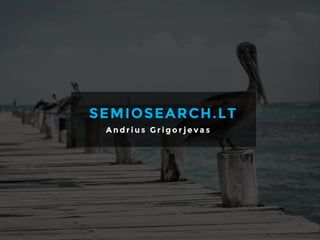 SEMIOSEARCH.LT
A n d r i u s G r i g o r j e v a s
 