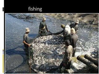 fishing
 