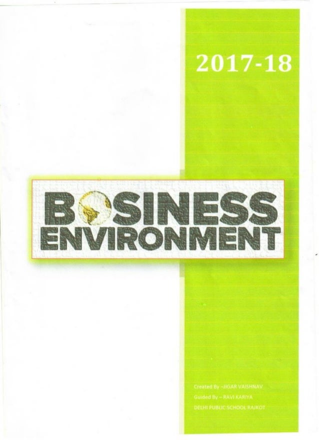 business environment project class 12