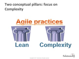 Two conceptual pillars: focus on
Complexity




               Copyright © 2011 SolutionsIQ. All rights reserved.
 