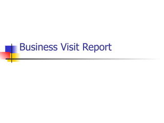 Business Visit Report 