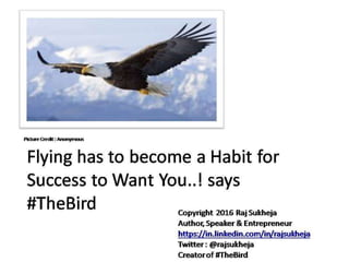 Business Wisdom For Pro's & Beginners