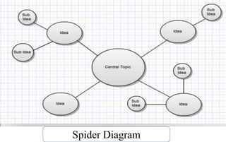 Spider Diagram
 