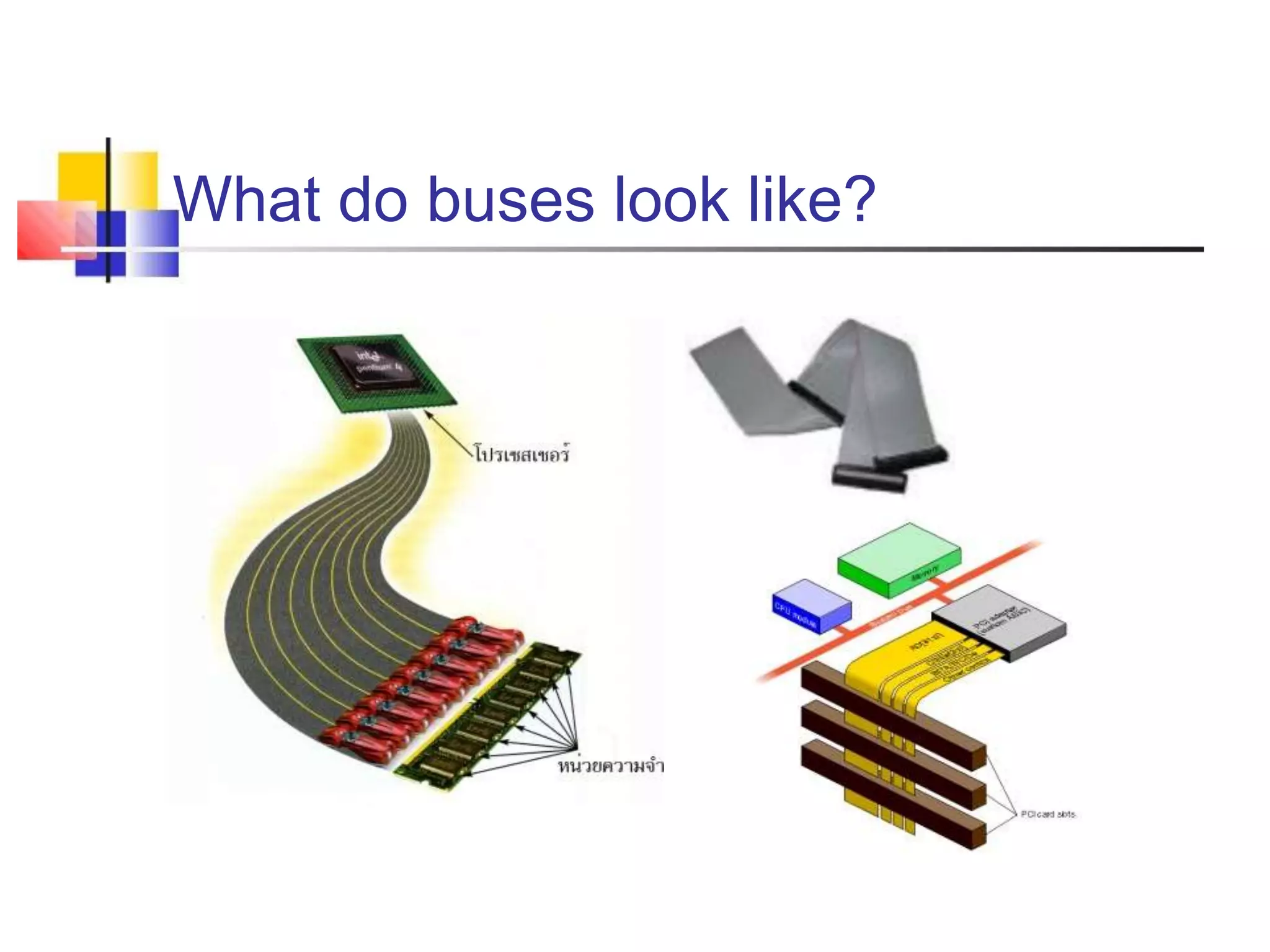 What do buses look like?
 