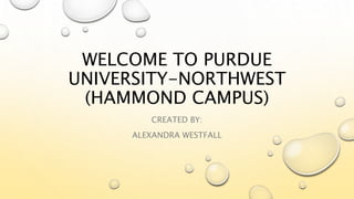 WELCOME TO PURDUE
UNIVERSITY-NORTHWEST
(HAMMOND CAMPUS)
CREATED BY:
ALEXANDRA WESTFALL
 